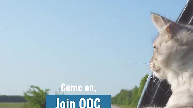 Join OOC